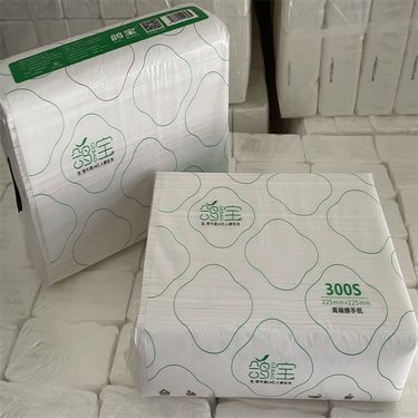 資陽市紙制品廠 紙及紙制品的生產與發展